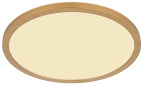 Globo 41562-18MM - LED Dimmelhető mennyezeti lámpa SAPANA LED/18W/230V IP44