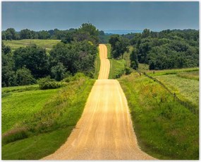 Poszterek 50x40 Út Rét Mező Erdő