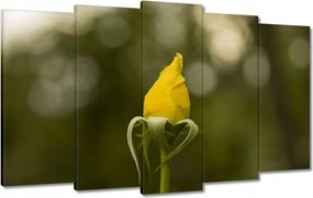 Vászonkép 100x60 Sárga rózsa