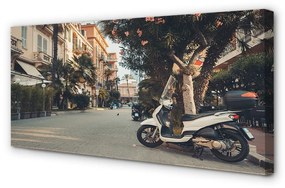 Canvas képek Városi motorkerékpárok tenyér nyár 100x50 cm