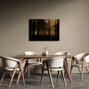 Üveg kép - Sötét erdő (70x50 cm)