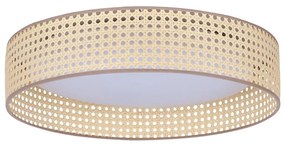 Duolla Duolla - LED Mennyezeti lámpa ROLLER LED/24W/230V átm. 45 cm rattan DU600873