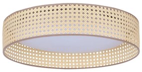 Duolla - LED Mennyezeti lámpa ROLLER LED/24W/230V átm. 45 cm rattan