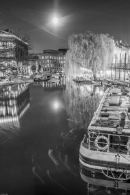 Poszter 30x45cm Uszály a Regent's csatornán, Assaf Frank