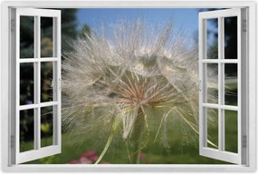 Poszterek 120x80 Pitypang Virág Virágok