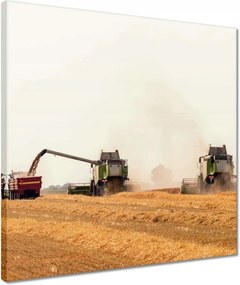 Vászonkép 40x40 Kombájn a gabona betakarításához