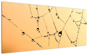 Egy harmatos pókháló képe (120x50 cm)