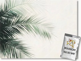 Fotótapéta Flizelina Természet Levelek Növényzet Pálma Egzotikum 350x250 ragasztó