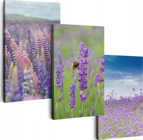 Vászonkép 150 cm **többféle minta** Nappali Képek Triptichon Virágok