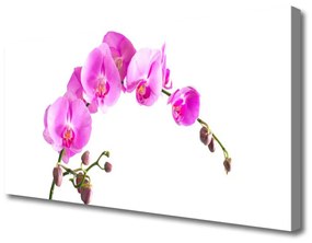 Vászonfotó Virág növény természet 100x50 cm