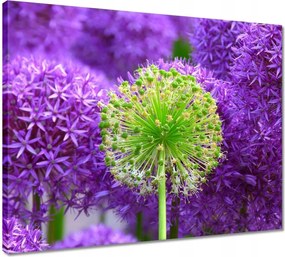 Vászonkép 50x40 Zöld virág