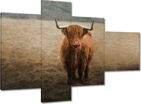 Vászonkép 100x70 Skót tehén szarvasmarha