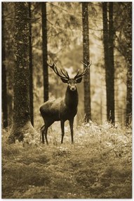 Poszterek 80x120 Szarvas a szépia erdőben