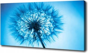 Canvas falikép Pitypang 100x70 cm