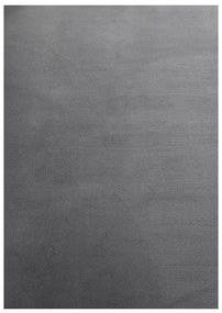 Szürke mosható futószőnyeg 80x250 cm Sky – Ayyildiz Carpets