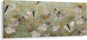 Kép - szüret lepkék (120x50 cm)