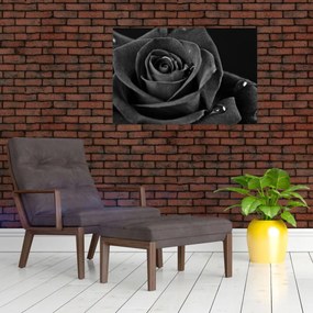 Kép - Bíborvörös rózsa (90x60 cm)