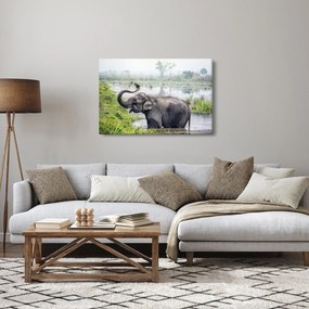 Kép - Fürdőző elefánt (90x60 cm)