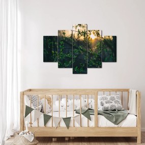A ragyogó nap képe a fák gallyain keresztül (150x105 cm)