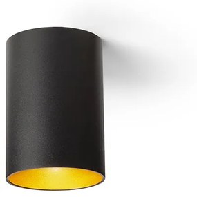 RENDL R13501 CONNOR felületre szerelhető lámpatest, downlight fekete/aranysárga