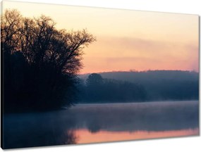 Vászonkép 90x60 Tél Köd Erdő Tó