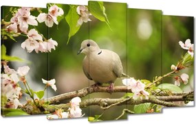 Vászonkép 100x60 Madarak