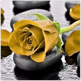 Poszterek 30x30 Sárga rózsa köveken