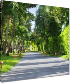 Vászonkép 60x60 Park Falevelek