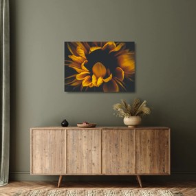 Üveg kép - Napraforgó fekete háttérben (70x50 cm)