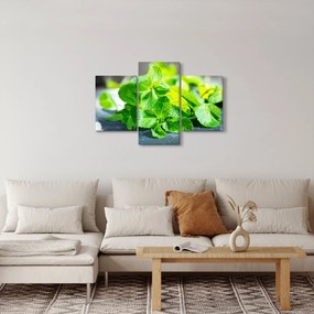 A menta képe (90x60 cm)
