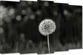 Vászonkép 150x95 Pitypang Virág Makro