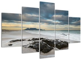 Kép - Robben Island (150x105 cm)