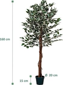 PLANTASIA Műnövény fikusz 160 cm