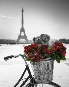 Poszter 40x50cm Macik és egy csokor vörös rózsa kerékpáron az Eiffel-toronnyal
