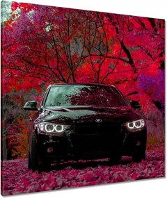 Vászonkép 80x80 Fekete Bmw Ősz