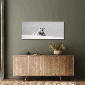 Kép - Jegesmedve (120x50 cm)