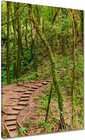 Vászonkép 70x100 Gyalogtúra