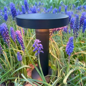 Zuma Line DT33611 - CARLI LED napelemes lámpa 2W, 2000 mAh, IP44 fekete