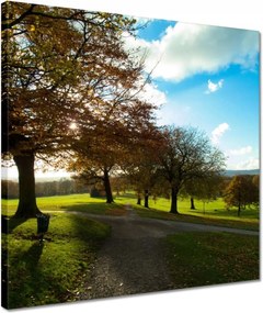 Vászonkép 40x40 Őszi tájkép