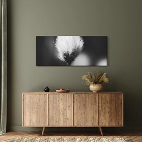 Kép - Fekete-fehér pamutfű (120x50 cm)