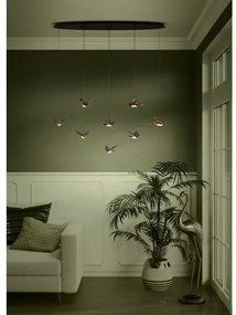 Eglo 390055 - LED Dimmelhető csillár zsinóron PARATEBUENO 8xLED/4,2W/230V fekete