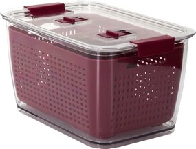 Gyümölcs- és zöldségtároló doboz hűtőszekrényben, bordó