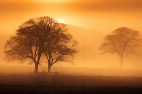Poszter 91,5x61cm Alkonyat a tisztások felett