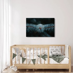 Egy tűlevelű fa gallyának képe (90x60 cm)