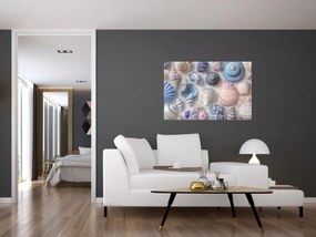 Kép - Kagylógyűjtemény (90x60 cm)