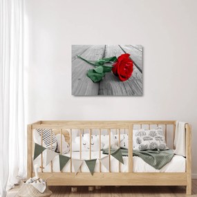Üveg kép - Piros rózsa zöld szárral (70x50 cm)
