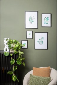 Kép 13x18 cm Cactus – PT LIVING