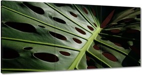 Vászonkép 180x90 Mosnter levelei lyukas