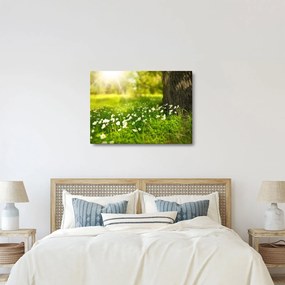Tisztás és a virágok képe (70x50 cm)