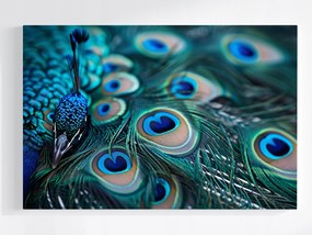 Vászonkép Canvas Természet Makró Fotózás Madár Páva 120x80